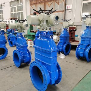 電動(dòng)閘閥Z941h -64 DN500（石化行業(yè)、煉油廠