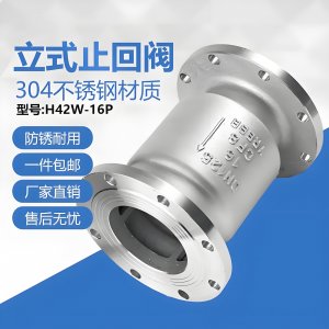 H42H-16H立式止回閥DN25 硬密封法蘭連接